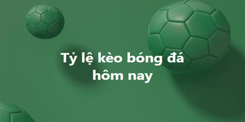 cá cược esports Việt Nam cá cược esports Việt Nam